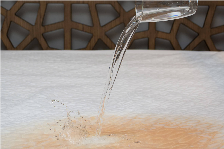OpulenceGuard Mattress Protector